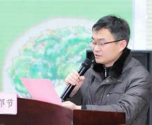 乐竟体育-斯特文各展所长，取得不败战绩