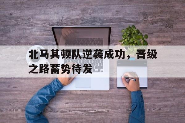 乐竟体育-北马其顿队逆袭成功，晋级之路蓄势待发
